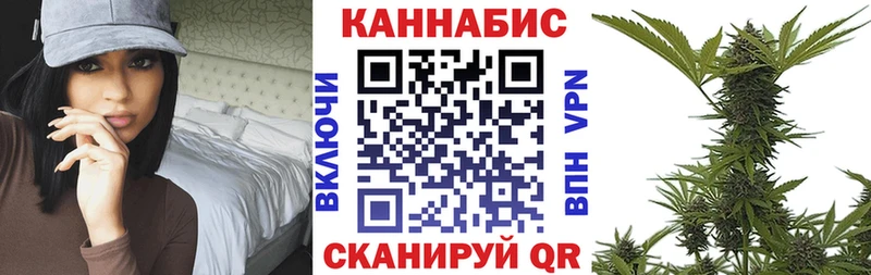 Бошки Шишки ГИДРОПОН  Инта 
